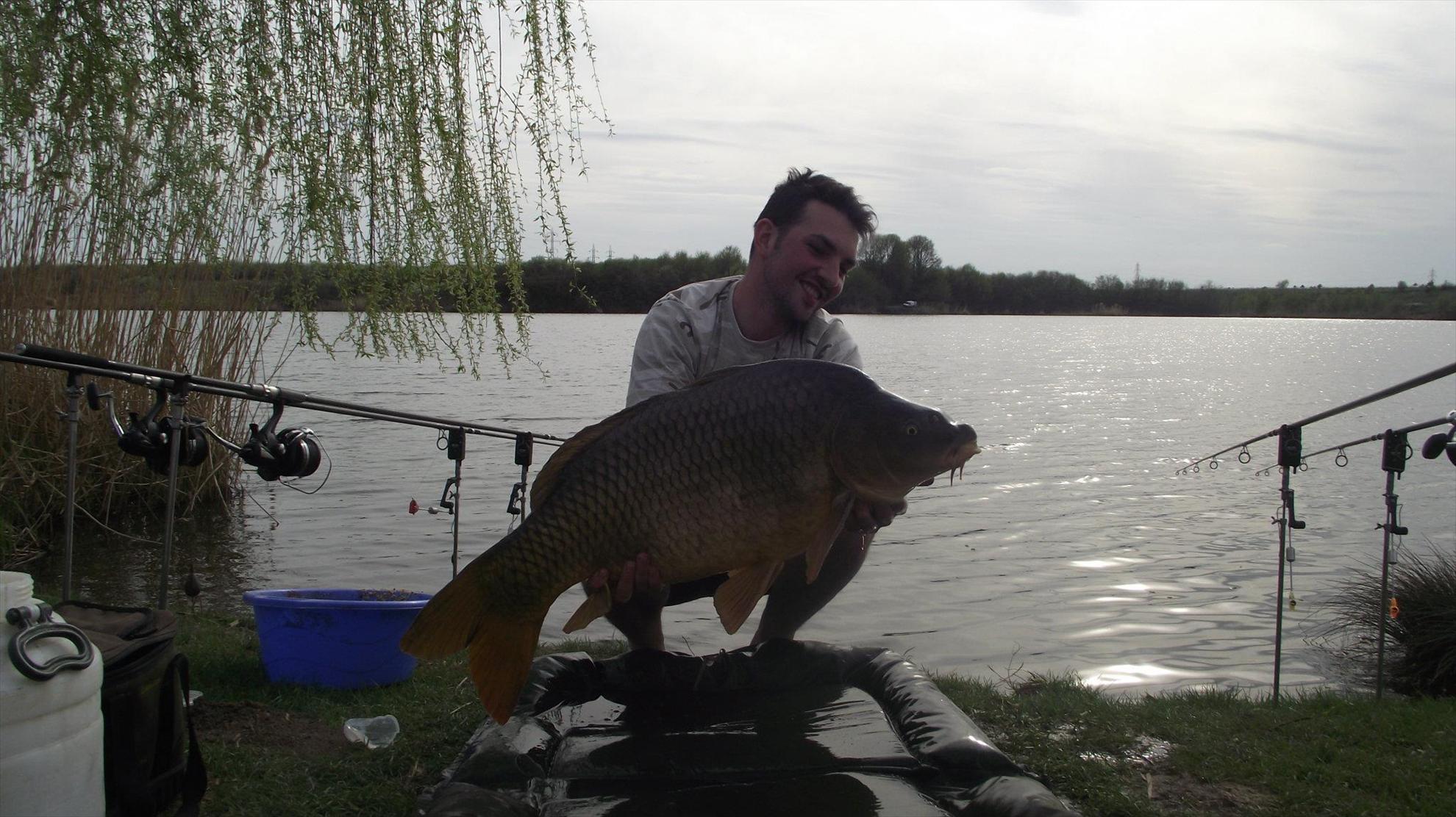 fsh - 4705574146656152293301195678362o.jpg